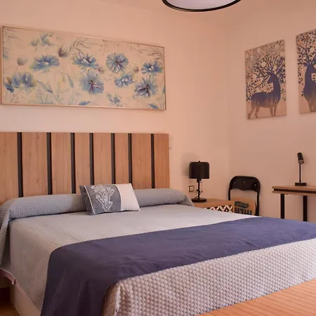 Zen Tatil Evi *